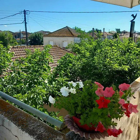 Traditional * Ariokhorion