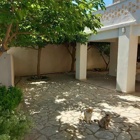 Traditional Casa de Férias Ariokhorion