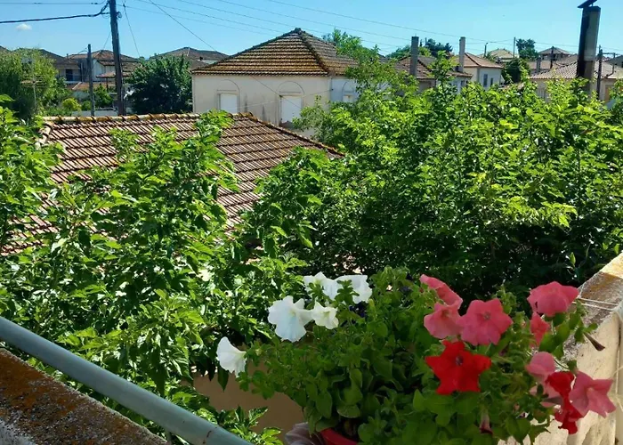 Traditional * Ariokhorion