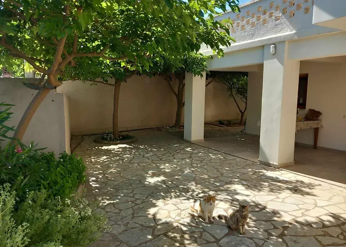 Traditional Casa de Férias Ariokhorion